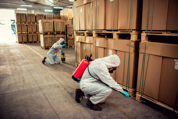 Best Pest Inspection Near Me  in Rich Hill, MO
