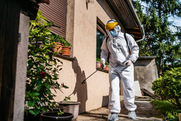 Pest Control Cost in Rich Hill, MO