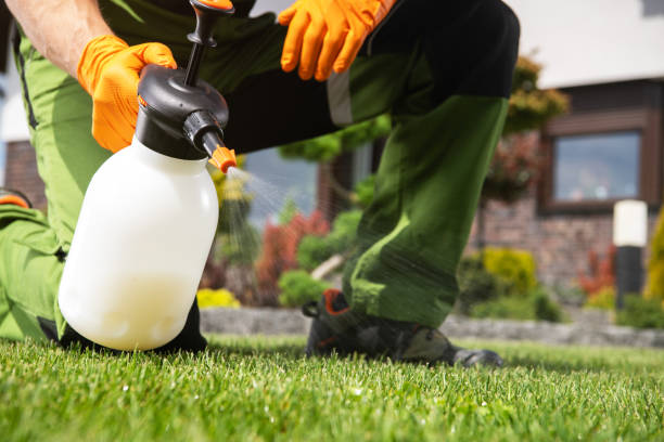 Best Insect Control  in Rich Hill, MO