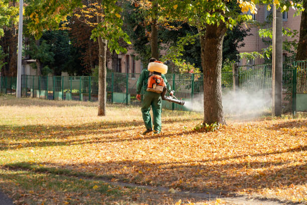 Best Mosquito Control Services  in Rich Hill, MO